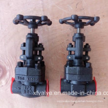 API602 Forged Carbon Steel or Stainless Steel Thread Globe Valve